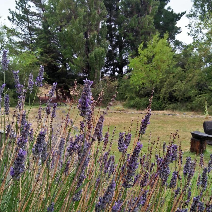 פריטו מורנו Estancia La Serena מראה חיצוני תמונה