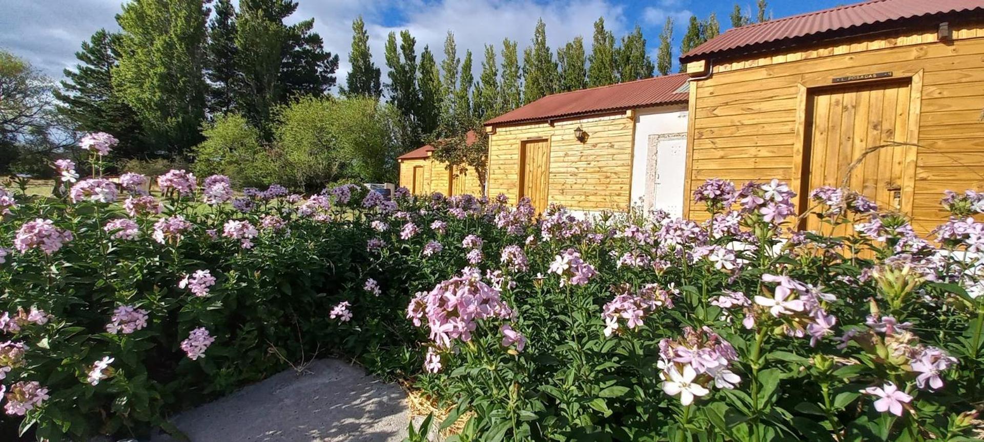 פריטו מורנו Estancia La Serena מראה חיצוני תמונה