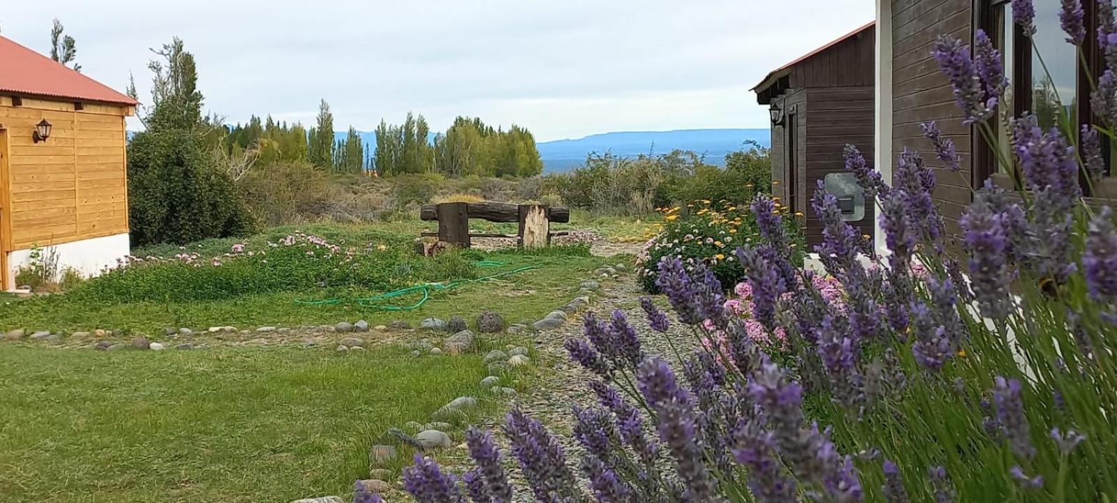 פריטו מורנו Estancia La Serena מראה חיצוני תמונה